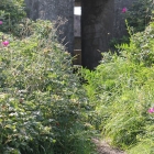 Bunker