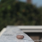Lonesome Stone