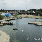 Nordsøen Oceanarium Panorama