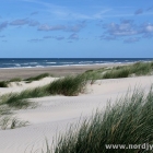 Dünen am Tornby Strand