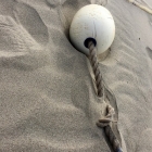 Strandgut