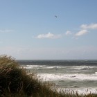 Strandhafer und Meer