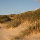 abends am Strand