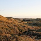 Abendstimmung in den Dünen