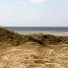 Dünen