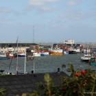 Fischkutter im Hafen