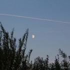 Mond