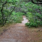 Tversted Søerne