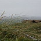 Schlechtwetter auf dem Meer