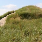 Düne am Kærsgård Strand
