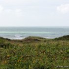 Dünen und Meer