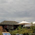 Essensausgabe im Oceanarium
