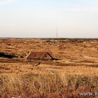 Blaavandshuk Dünen