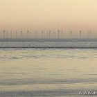 Offshore-Windpark Horns Rev