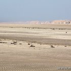 Strand Richtung Vejers
