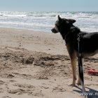 Blick in die Ferne am Tornby Strand