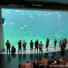 Das große Becken im Nordsø Oceanarium Hirtshals