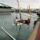 Gesunkene Fio im Hafen von Hirtshals