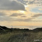 Schönes Licht in den Dünen