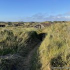 Weg durch die Dünen von Tornby