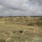 Grærup Strand Dünen
