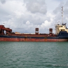 Lady of Chichester