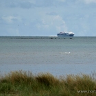 Stena Carisma