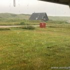 Regen
